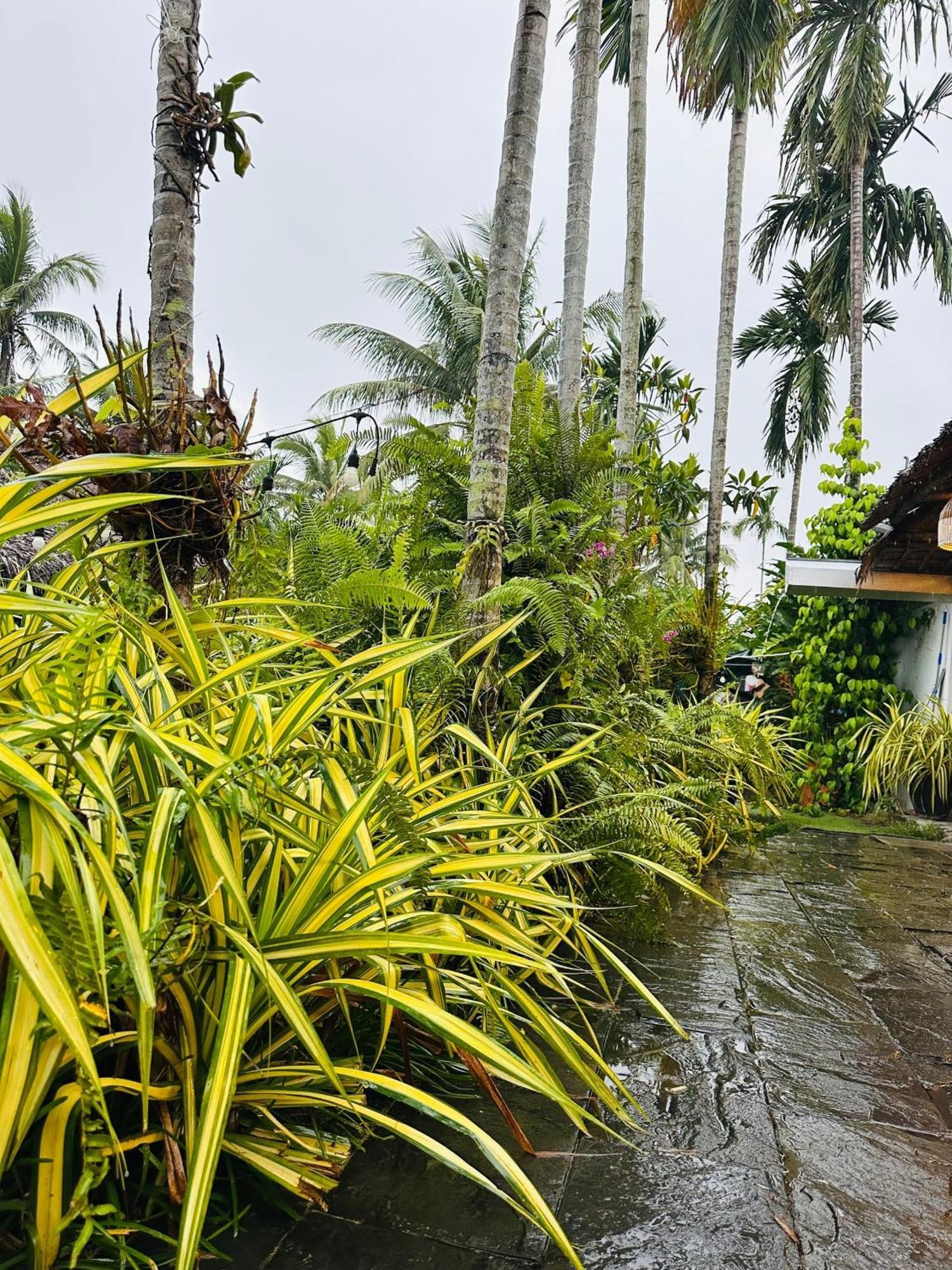 Water Palm Residence Hieu Nhon Exterior foto